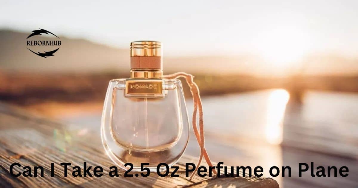 can-i-take-a-25-oz-perfume-on-plane