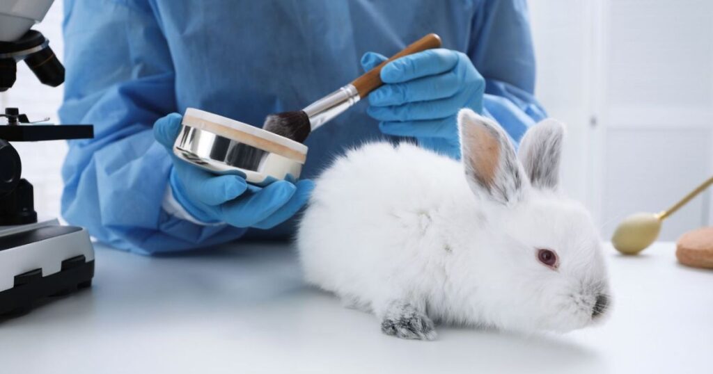 Seint Makeup's Animal Testing Policy